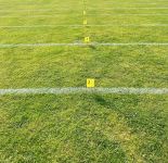 Sportfest 2025 4
