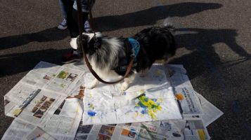 Big 42128089 0 600 337